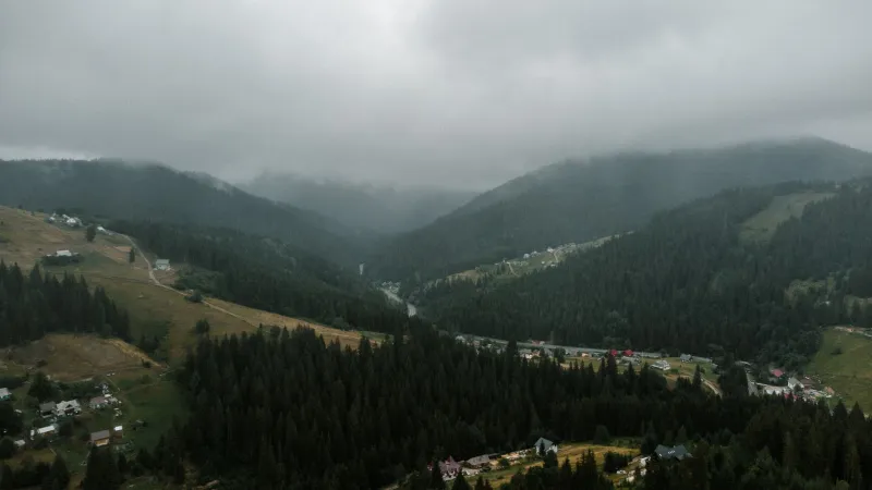 Altitude and Artistic Renewal: Why American Theater Directors Are Heading to the Carpathians to Find Themselves Again