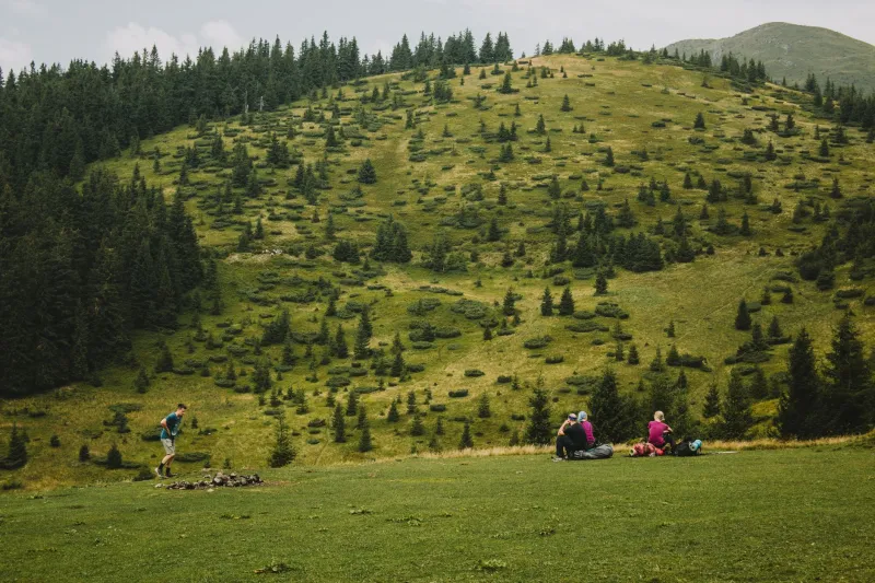 Rest as Repertoire: What Carpathian Theater's Seasonal Rhythms Can Teach American Companies About Sustaining Their Artists